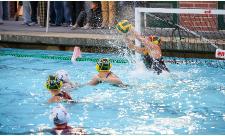 WaterPolo021026